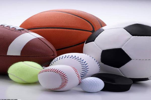 赫山体育培训机构的热门课程与招生情况